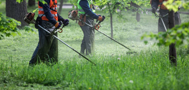 Equipe realizando manejo de vegetação